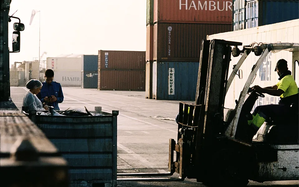 Forklift operator moving cargo beside stacked shipping containers at a port while two workers inspect a delivery